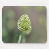 klaver muismat (Voorkant)