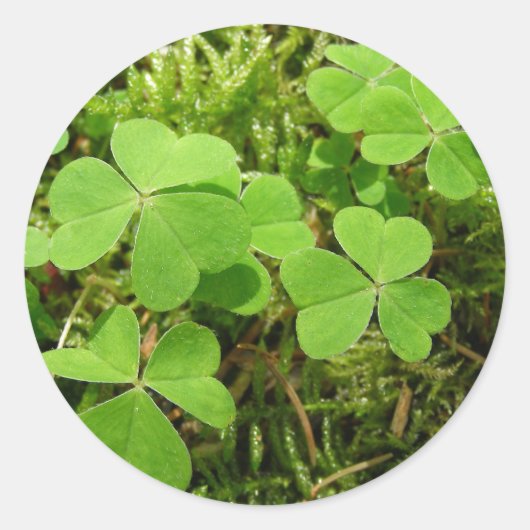 Klaver patch - stickers (Voorkant)