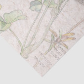  klaverbloemenpapier tissuepapier (Detail)