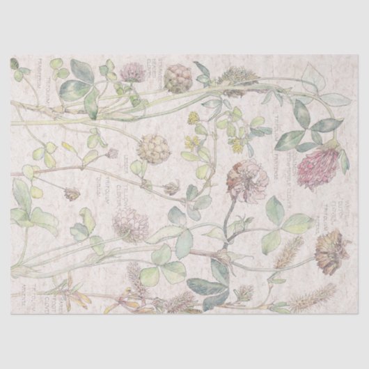  klaverbloemenpapier tissuepapier (Voorkant)