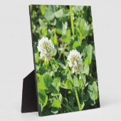 Klavers en bloemen fotoplaat (Zijkant)