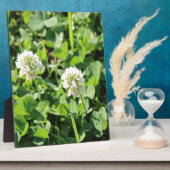 Klavers en bloemen fotoplaat (Zijkant)