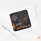 Kleber - Rottweiler Vierkante Sticker (Envelop)