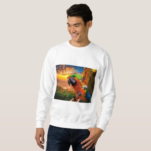 Kleding en schokken > Mannen > Kleding > Duizelen  Trui (Voorkant volledig)