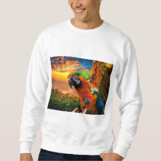 Kleding en schokken > Mannen > Kleding > Duizelen Trui