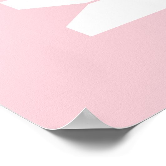 Kleding in zwart-wit en roze waskamer poster (Hoek)