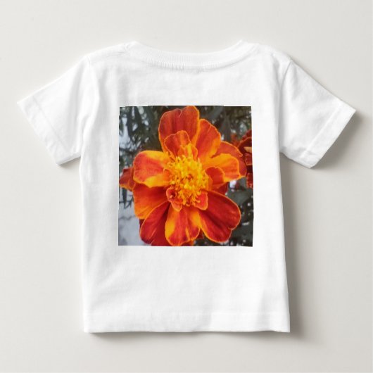 Kleding & Schoenen > Baby (0-24m) > Baby Boy > Top (Achterkant)