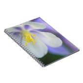 Kleding van Colorado Columbine flower. Notitieboek (Rechterzijde)