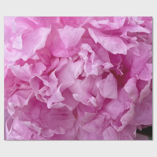 Kleding van roze pinda's cadeaupapier (Vlak)