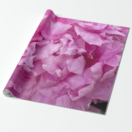 Kleding van roze pinda's cadeaupapier (Uitgerold)