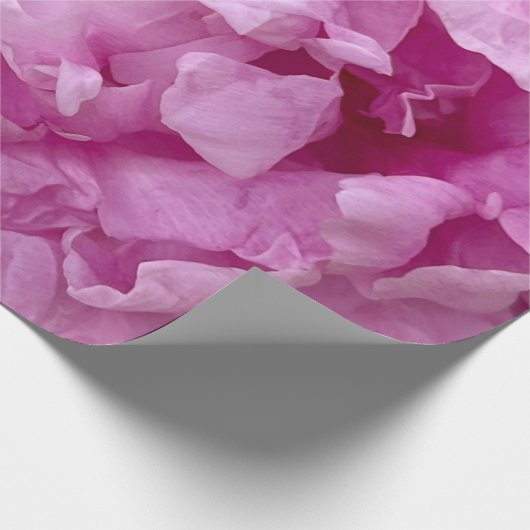 Kleding van roze pinda's cadeaupapier (Hoek)