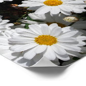 Kleding van witte melkbloemen poster (Hoek)