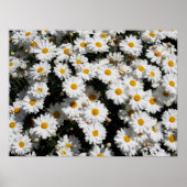 Kleding van witte melkbloemen poster (Voorkant)