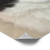 Kleding van zwarte en witte langwerpige katten poster (Hoek)