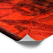 Klee - Groins Poster (Hoek)