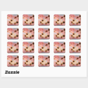 Klee - Hardy Plants Vierkante Sticker