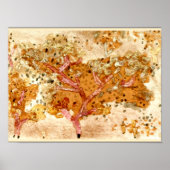 Klee - Old Tree, 1931 Poster (Voorkant)