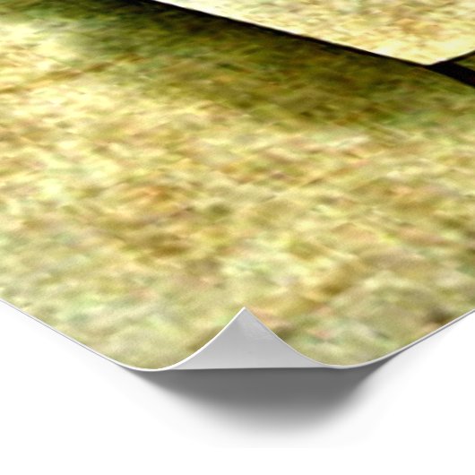 Klee - Six Species Poster (Hoek)