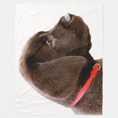 Kleed in rood - chocolade Labrador Puppy Fleece Deken (Voorkant)