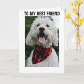 KLEED JE AAN VOOR DE VERJAARDAG VAN JE BESTE VRIEN KAART (Gele Bloem)