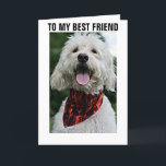 KLEED JE AAN VOOR DE VERJAARDAG VAN JE BESTE VRIEN KAART<br><div class="desc">AAN MIJN BESTE VRIEND - DEZE HOND VERKLEEDT ZICH VOOR "JE VERJAARDAG" EN ZIJN VADER ZIET ER OOK BLIJ UIT VOOR JOU!</div>