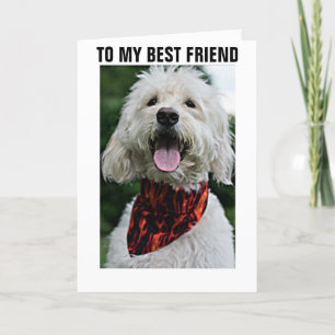KLEED JE AAN VOOR DE VERJAARDAG VAN JE BESTE VRIEN KAART