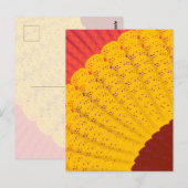 Kleedje, waaier briefkaart (Voorkant / Achterkant)