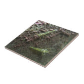 Klein (4,25 x 4,25 inch) keramische Tegel voor fot Tegeltje (Zijkant)