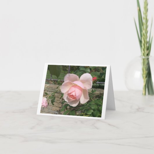 Klein, 4 x 5,6-inch gevouwen Wenskaart Bedankkaart (Voorkant)