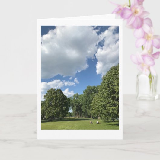 Klein, 4 x 5,6-inch gevouwen Wenskaart Kaart (Orchidee)