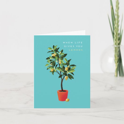 Klein, 4 x 5,6-inch gevouwen Wenskaart Kaart (Voorkant)