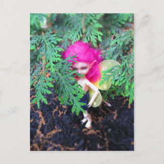 Klein Beer Bracken, Aziatische bal-munt Briefkaart