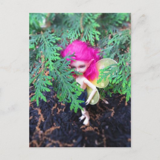 Klein Beer Bracken, Aziatische bal-munt Briefkaart (Voorkant)