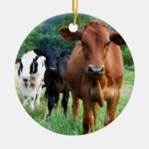 Klein beslag van drie koeien keramisch ornament