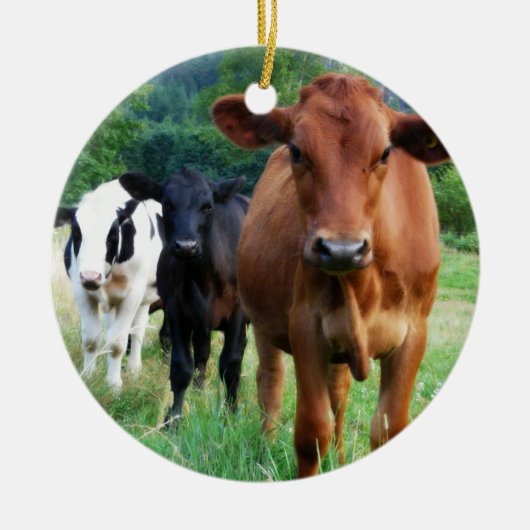 Klein beslag van drie koeien keramisch ornament (Voorkant)