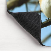 Klein blauw muismat (Hoek)