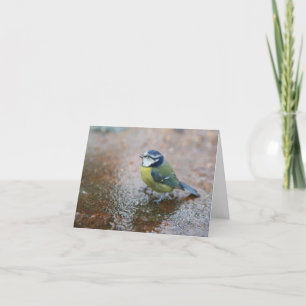 Klein Blauw Vogeltje in de Regen Feestdagen Kaart