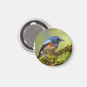 Klein blauw vogeltje magneet (Voorkant / Achterkant)