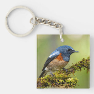 Klein blauw vogeltje sleutelhanger