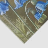 Klein blauw vogelweefsel papier (Detail)