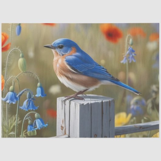 Klein blauw vogelweefsel papier (Voorkant)