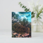 Klein Bonaire Briefkaart (Staand voorkant)