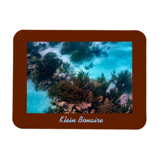 Klein Bonaire Reef Magneet (Horizontaal)