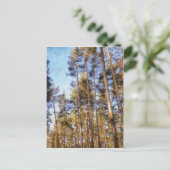 Klein bos briefkaart (Staand voorkant)