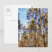 Klein bos briefkaart (Voorkant / Achterkant)