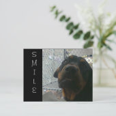 KLEIN BRIEFKAART (Staand voorkant)