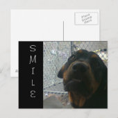 KLEIN BRIEFKAART (Voorkant / Achterkant)