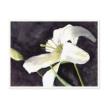 Klein Briefkaart: 4,25 x 5,6 inch