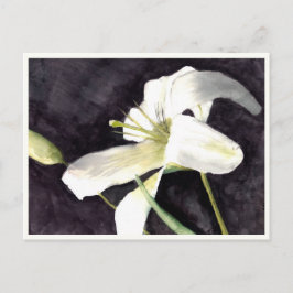 Klein Briefkaart: 4,25 x 5,6 inch Briefkaart