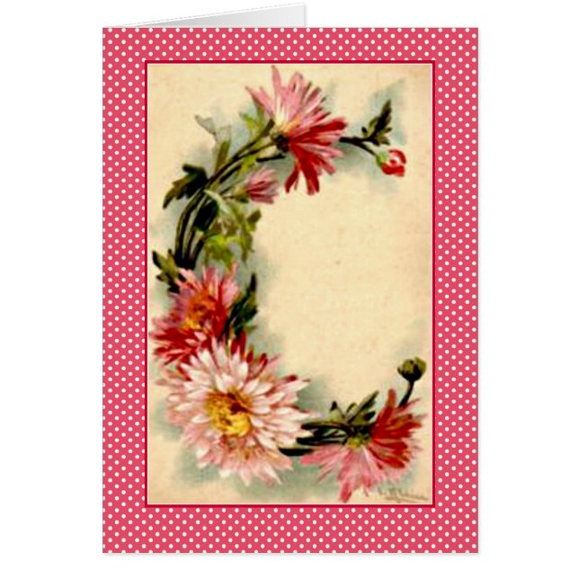 Klein Flower Alphabet Letter D Pink Chrysanthemuns (Voorkant)